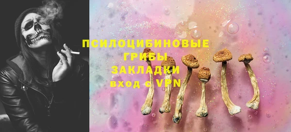 ГАЛЛЮЦИНОГЕННЫЕ ГРИБЫ Козельск