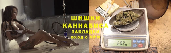 сатива Козловка
