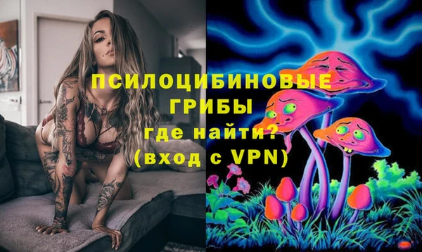 сатива Козловка