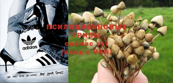 mdma Кодинск