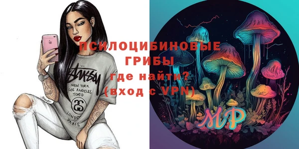 ГАЛЛЮЦИНОГЕННЫЕ ГРИБЫ Козельск