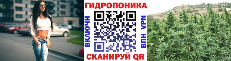 Купить  Полтавская  Бошки марихуана индика 